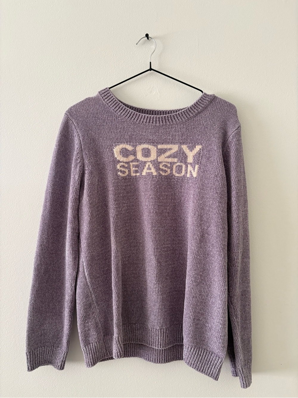 AnyBody Lavender 'Cozy Season' Crewneck Sweater
